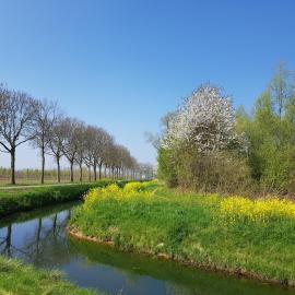B&B Het Zwanennest, hotel din Lienden