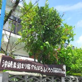 Okinawa Hostel Yanbaru Fukuro, hotel in Nago