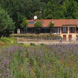 Agriturismo Cascina del Poggio
