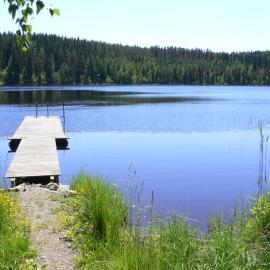 Vanha-Pälsilä lakeside farm، فندق في Kuhmoinen