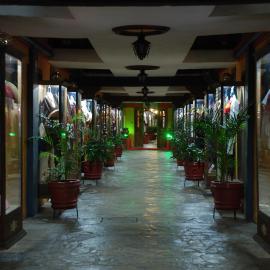 Hotel Temático Mision Colonial, hotell sihtkohas San Cristóbal de Las Casas