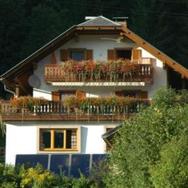 Haus Birke