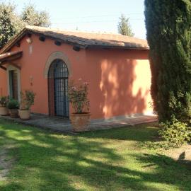 La viola