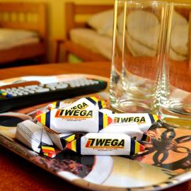 Noclegi Wega, hotel v mestu Częstochowa