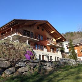 Ferienwohnung Ichtys, hotel in Hasliberg