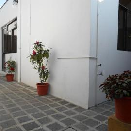 Casa Viveros