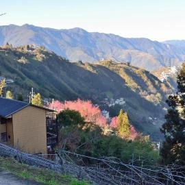 The fairy land - Lala Mountain, hotel in Fuxing
