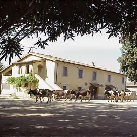 Biobagnolese Agriturismo、オルテのホテル