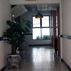 Hotel Avenida, hotel u gradu Zakatlan