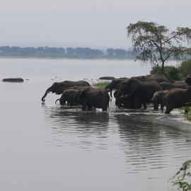 Kasenyi Lake Retreat Lodges & Campsite, Hotel in Kasese