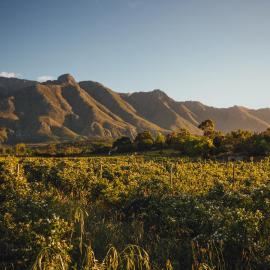 Wildebraam Berry Estate, hotel v destinaci Swellendam