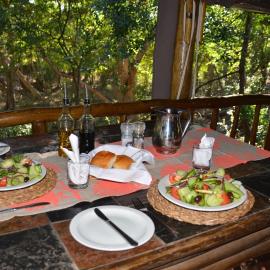 Moholoholo Forest Camp, hotel in Hoedspruit