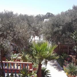 Dar ezzitouna, hotel in Oualidia