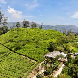 Tunnel Gap Homestay, hotel in Ella