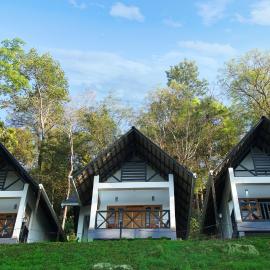 Woodrose Resort, hotel Kalpettában
