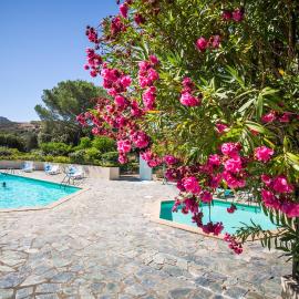 Résidence les Arbousiers, hotel in Saint-Florent