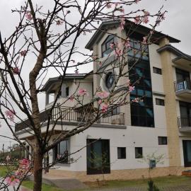Sunyea B&B