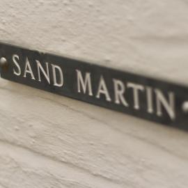 Sand Martin