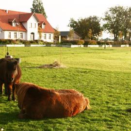 Gutshaus Landwert Hof