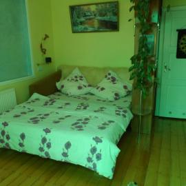 Зелена Вілла -басейн,тераса, квіти, сад, hotel u gradu Užgorod