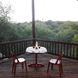Little Bush Baby, hotel in Marloth Park