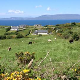 The Garden Room at Sleepy Hollow, hotel a Louisburgh