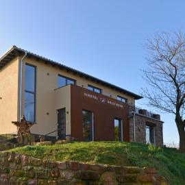 Vinotel Dollt-Kern, hotel in Flemlingen