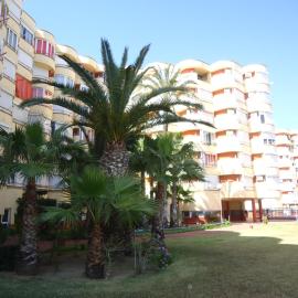 Promar La Pineda