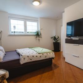 Apartment 1 Zimmer EG