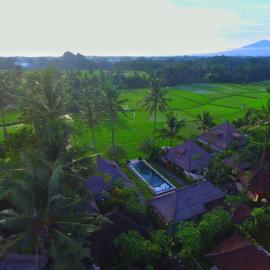 Lodtunduh Sari