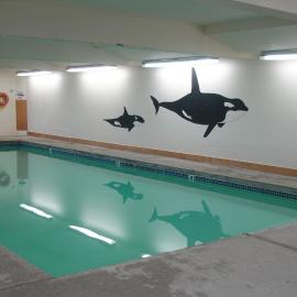 The Dublin House Motel, отель в городе Яхатс