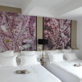 Hôtel-Restaurant "Chez Carrière", hotel i Aigues-Mortes