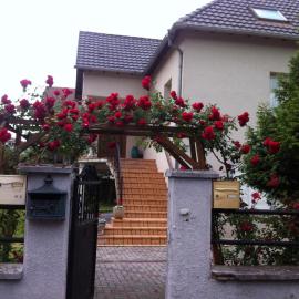 Bel Appartement en RDC proche Strasbourg Nice apartment very near Strasbourg
