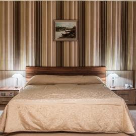 Hotel Balkan, hotel sa Pleven