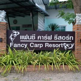 Fancy Carp Resort，七岩的飯店