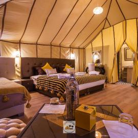 Luxury oasis camp