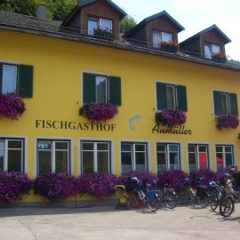 Fischgasthof Aumüller, hotel i Obermühl