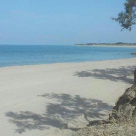 Appartamento Alba vista spiaggia, hotel din Torre Mozza