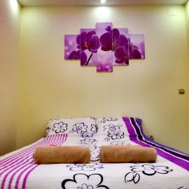 Maslina Rooms, hotel a Smederevo