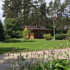 Forest house with outdoor hot tub