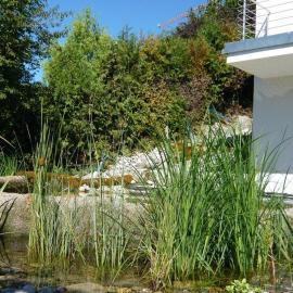 N1 Standalone House Baden: Hertenstein şehrinde bir otel