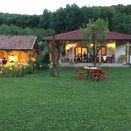 Căsuța de sub pădure