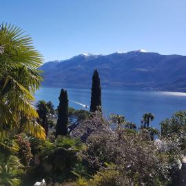 Residence Venus Garden, hótel í Brissago