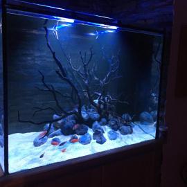 Aquarium House, Hotel in Sesimbra
