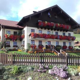 Nussbaumer am Irrsee, Hotel in Tiefgraben