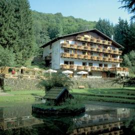 Wolffhotel: Kopp şehrinde bir otel