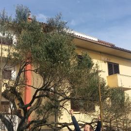 Begovi Dvori