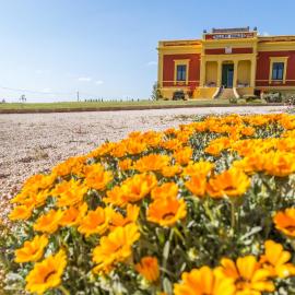 Villino Odaldo, hotel a Mottola