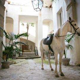 IL Marchese Del Grillo, hotel u Tropei