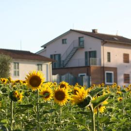 La Collina del Girasole, hotel sa Montecastrilli